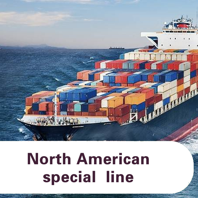 Logistics Services Forwarder China to USA/Canada Sea Freight to Mexico