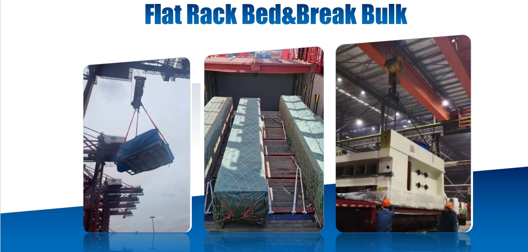 Special Cargo Shipping Agent Global Service for Cold Chain Fresh Goods/Dangerous Goods/Oversized Cargo by Sea/Air