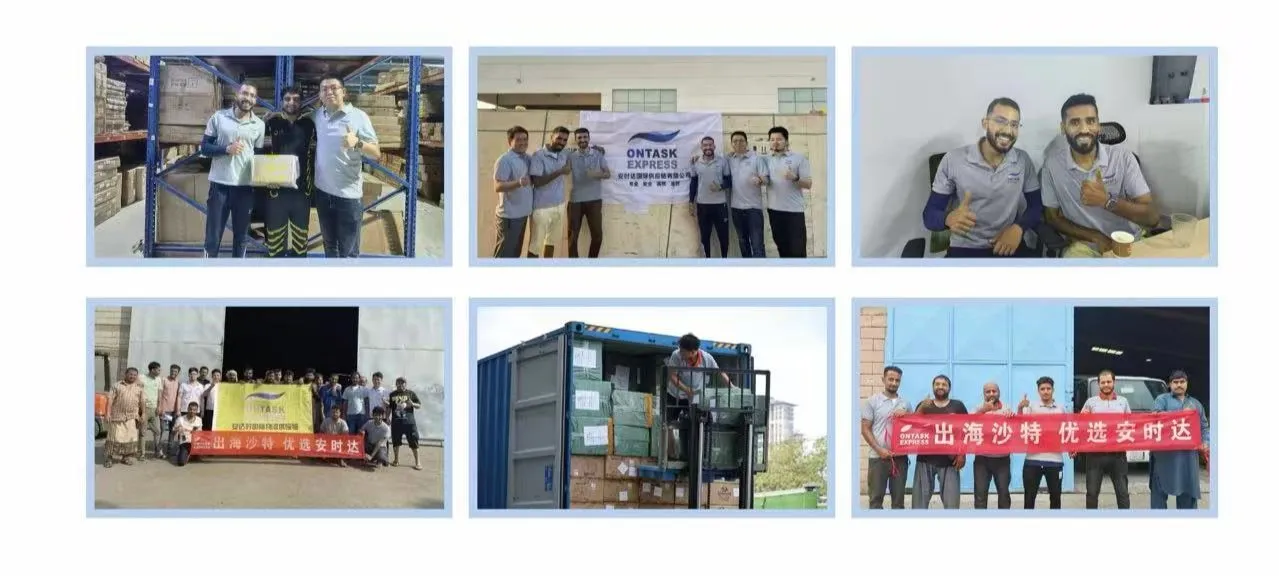 Our Professional Team