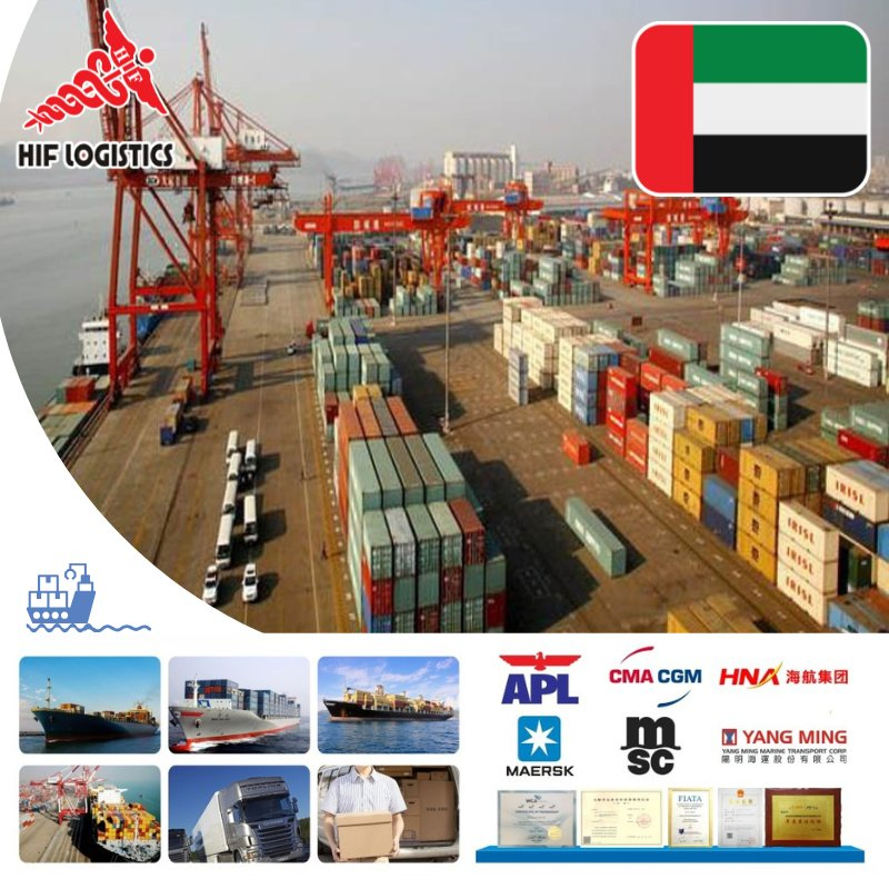 Fast Shipping Container Logistics or Sea Freight Forwarder Service to Worldwide DDP DDU Fob EXW