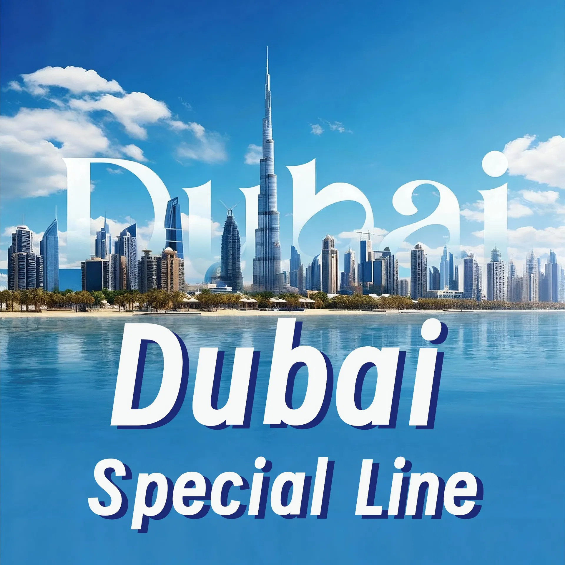 Dubai Overseas Warehouse