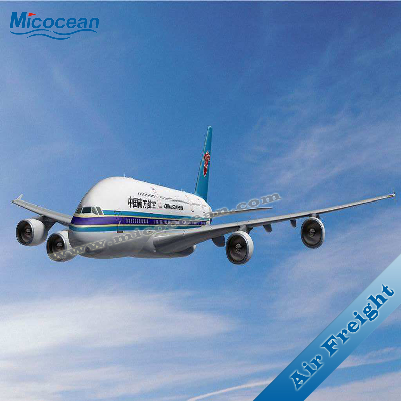 International Logistics DDU/DDP Sea Shipping Service to Russia From China