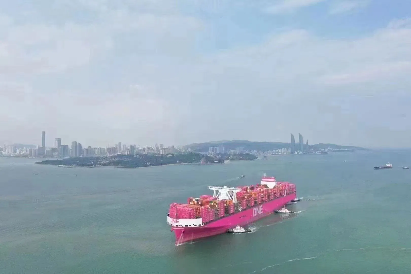 UPS DDP Sea Shipping Agent to Philippines, USA, Qatar, India, Pakistan Sea Freight Service