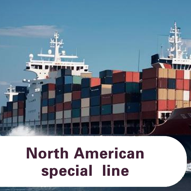 Logistics Services Forwarder China to USA/Canada Sea Freight to Mexico