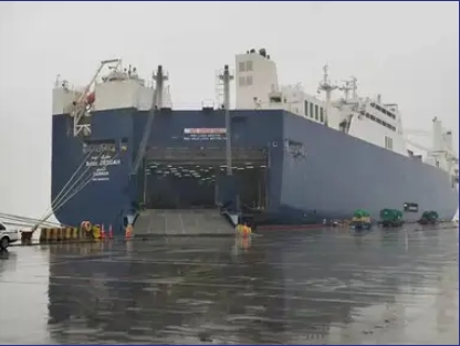 China to Mexico Fob Sea Freight Shipping Service