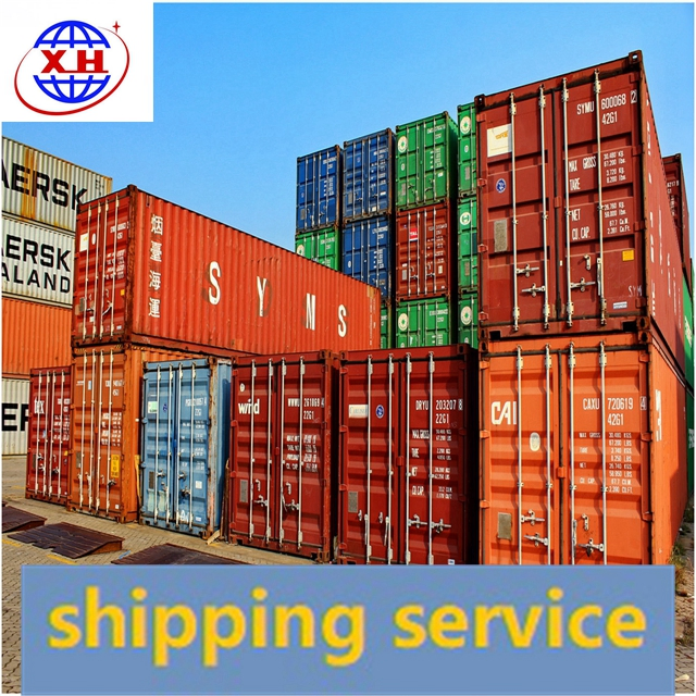 Sea Shipping Agent 20gp 40hq From China To USA Canada DDP DDU Services Professional Express Door To Door