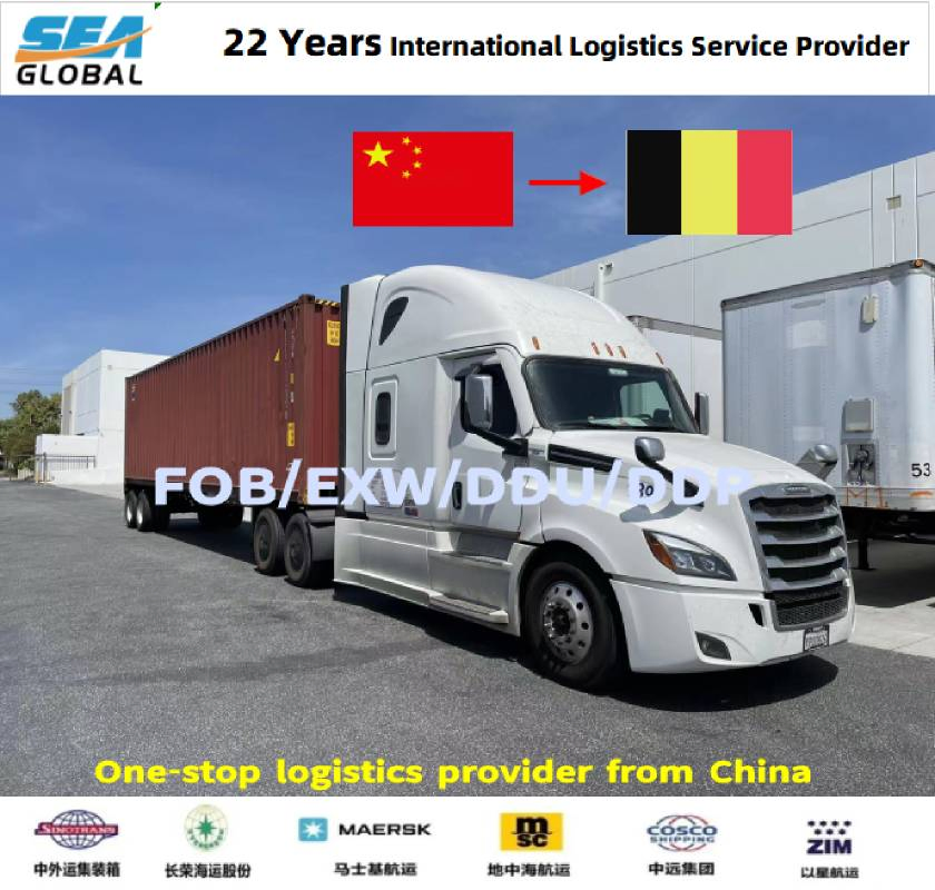 EXW LCL Shipping Forwarder Logistics to Italy Germany Denmark Austria Finland