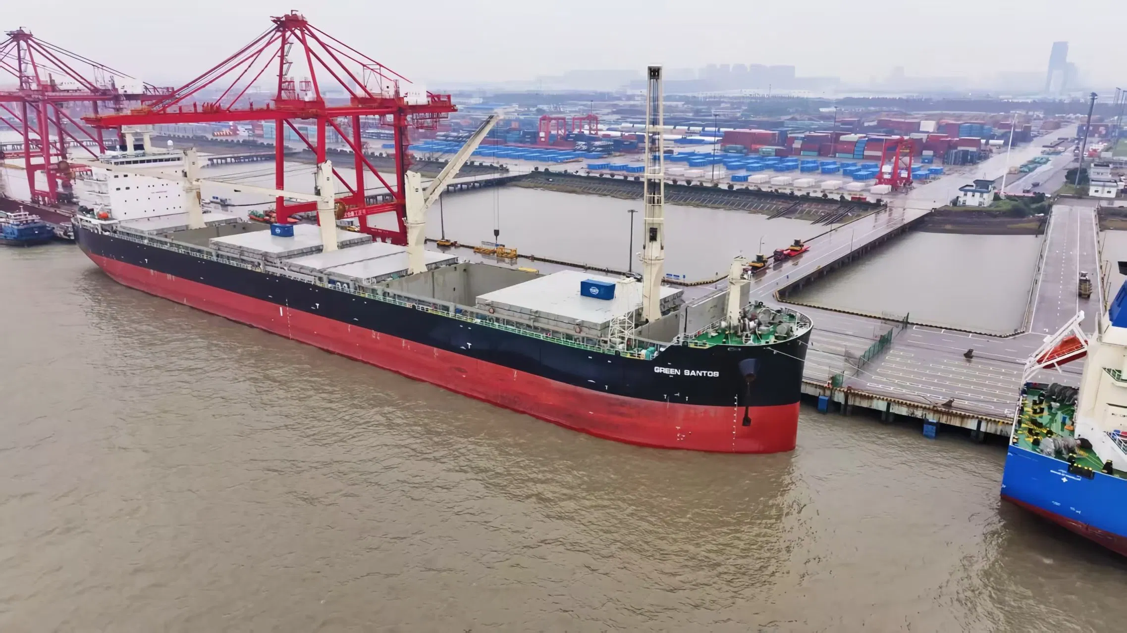 Sea Freight Forwarding Cargo Logistics Service From Shanghai to Puerto Cortes