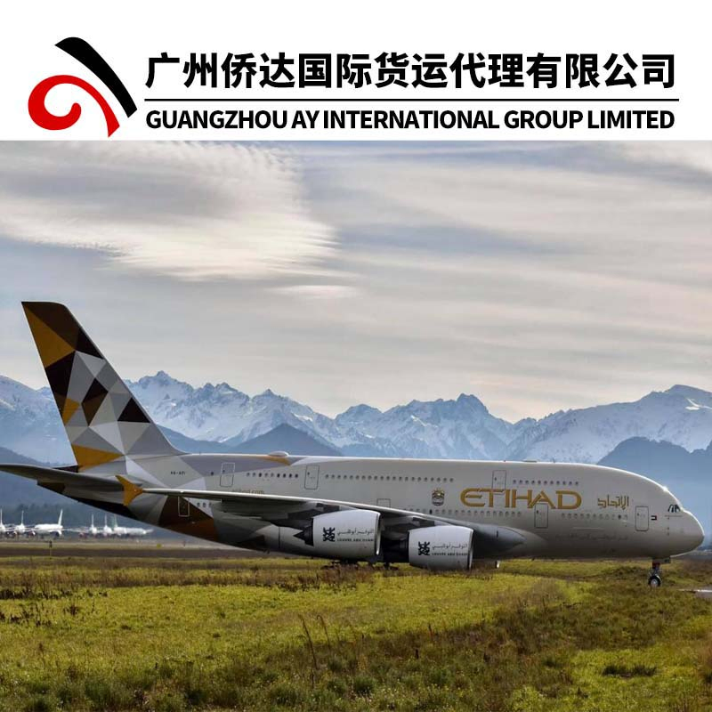 Air Freight Air Cargo From Shenzhen China to Dubai by DHL/TNT/UPS/FedEx/Sf Express Delivery