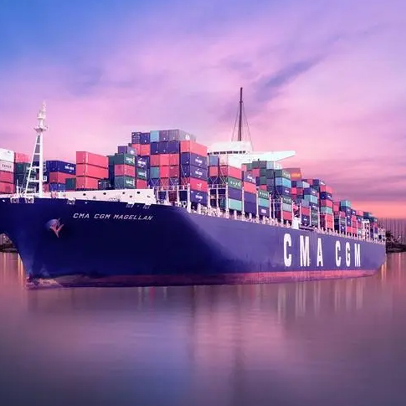 Shenzhen Logistics Dangerous Goods Sea Shipping Liquid, Powder, Battery, Chemical Products