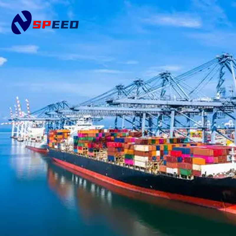 Sea Freight to USA Canada Australia From China Low Price Shipping Forwarding Agent DDP DDU Door to Door Service