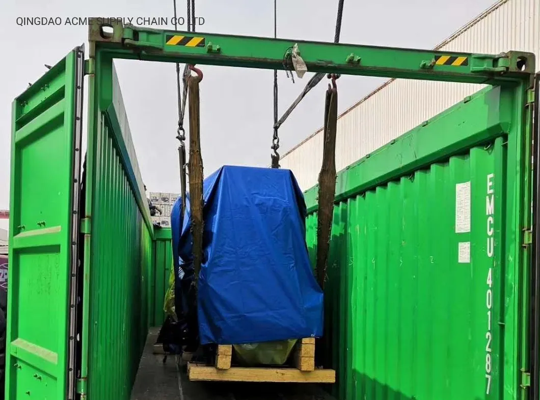 Tanzania Shipment Case