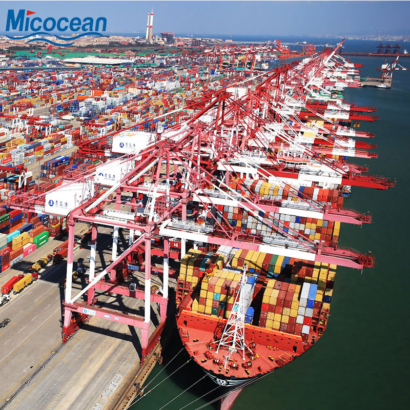 China Shenzhen Logistics Dangerous Goods Battery Products Sea Shipping to Aden/Hodeidah