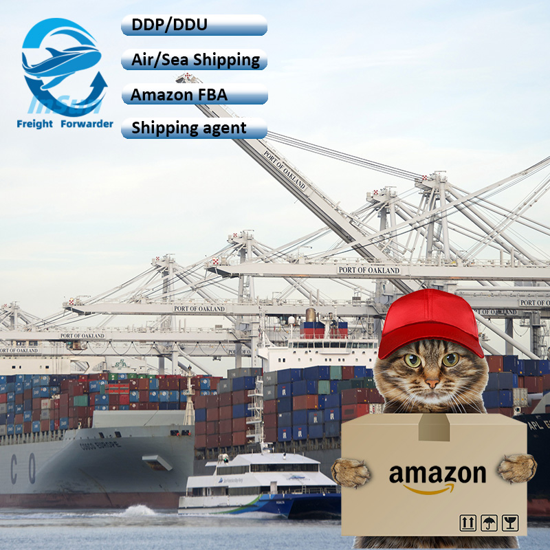 Cheap Sea Express Logistics China to Arab UAE with Amazon Fba Service