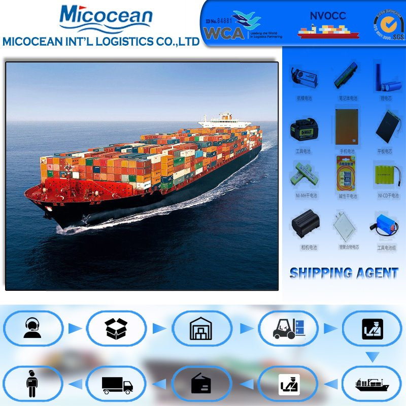 China Dangerous Goods Battery Shipping Agent LCL Sea Shipping From China to Manzanillo (M) /Mexico Servicio Cubre Envios a Los Puertos Principales De Mexico.