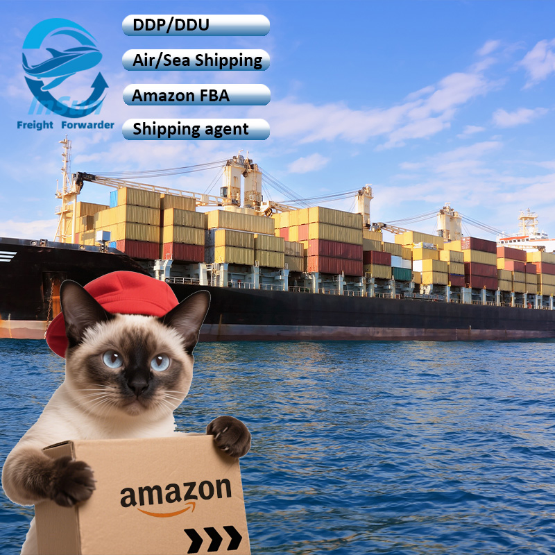 Quality Inspection DDP Delivery Services Sea Shipping From China to Belguim/USA /Canada/UK/Italy/Mexico/Germany/France