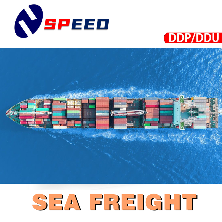 Experienced Service for Sea Freight Shipping with Cheap Costs to Mexico