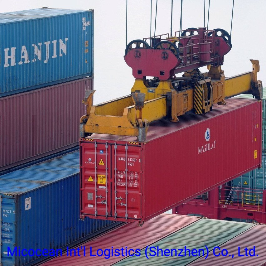 International Logistics DDP DDU Sea Shipping Service From China to Korea