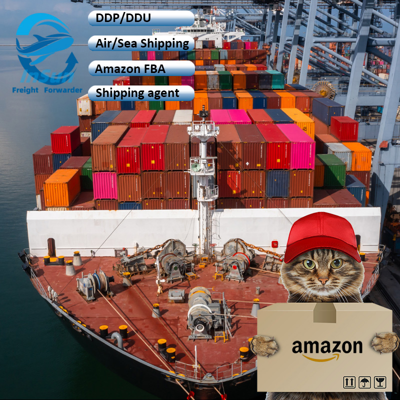 Professional Sea Shipping Agent DHL UPS TNT FedEx EMS International Logistics Door to Door Express Delivery Service to Worldwide