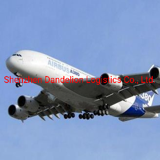 Shenzhen International Container Sea/Air/Rail/Railway/Road Freight Cargo From China to Maldives, Malaysia, Taiwan