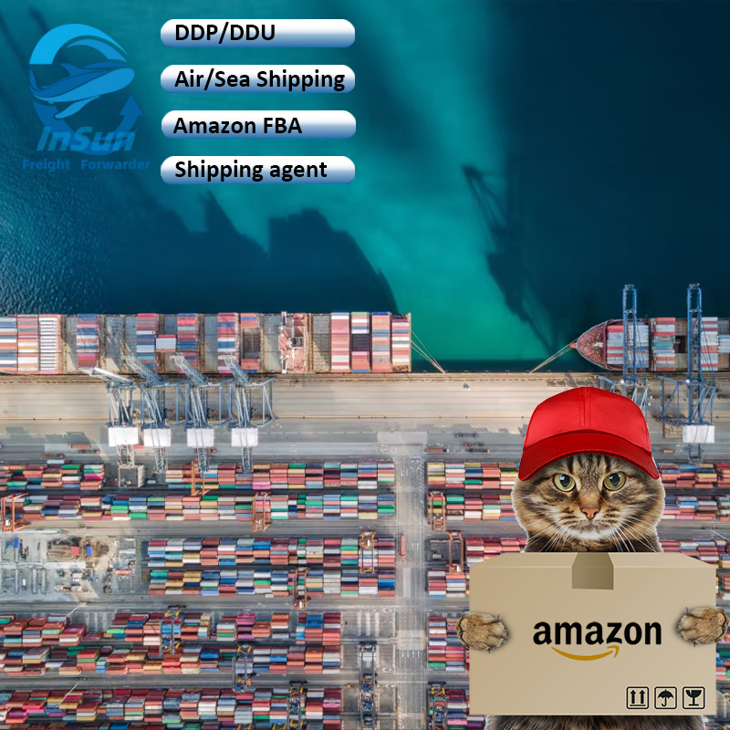 Economical Full Container Shipping Export Customs Clearance DDP Service From China to Spain