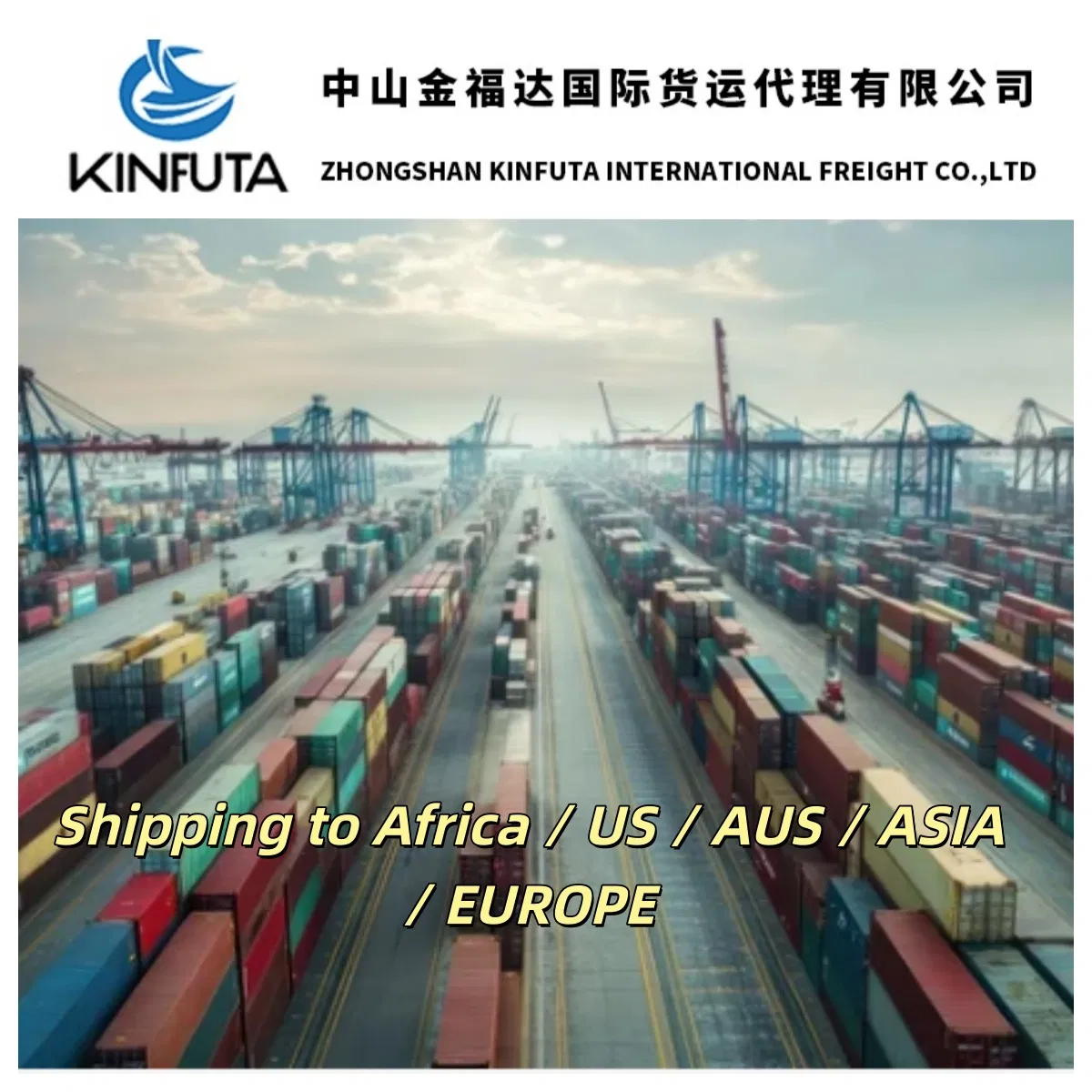 International Express/Courier Shipping Cargo Shipping Services to Sao Jose DOS Pinhais/Sao Paulo/Salvador/Curitiba/Suape/Betim