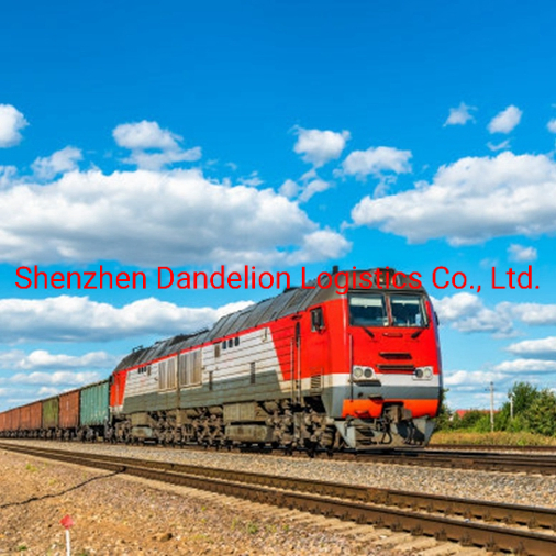 Rail/Railway/Sea/Air/Road/Truck Freight Agent Transport From Shenzhen to Europe (DDP)
