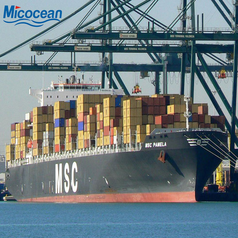 China Safety and Fast Shipping Dangerous Goods DDP Battery Sea Freight From China to Gdynia, Poland