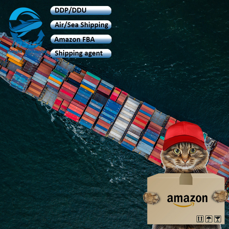 Superior Sea Freight DDP/DDU/CIF Forwarder Shipping Service Satisfying Price to Saudi Arabia