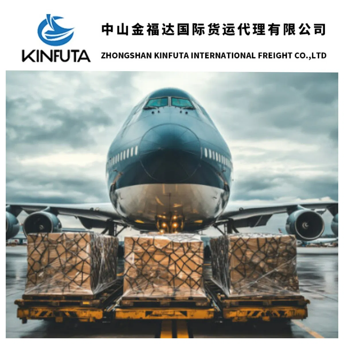 Door to Door Shipping Service From Hong Kong/Taiwai/Macao/Macau Forwarder to Panama, Canada, Ca, Guam, Saudi Arabia, Netherlands, Malaysia, My
