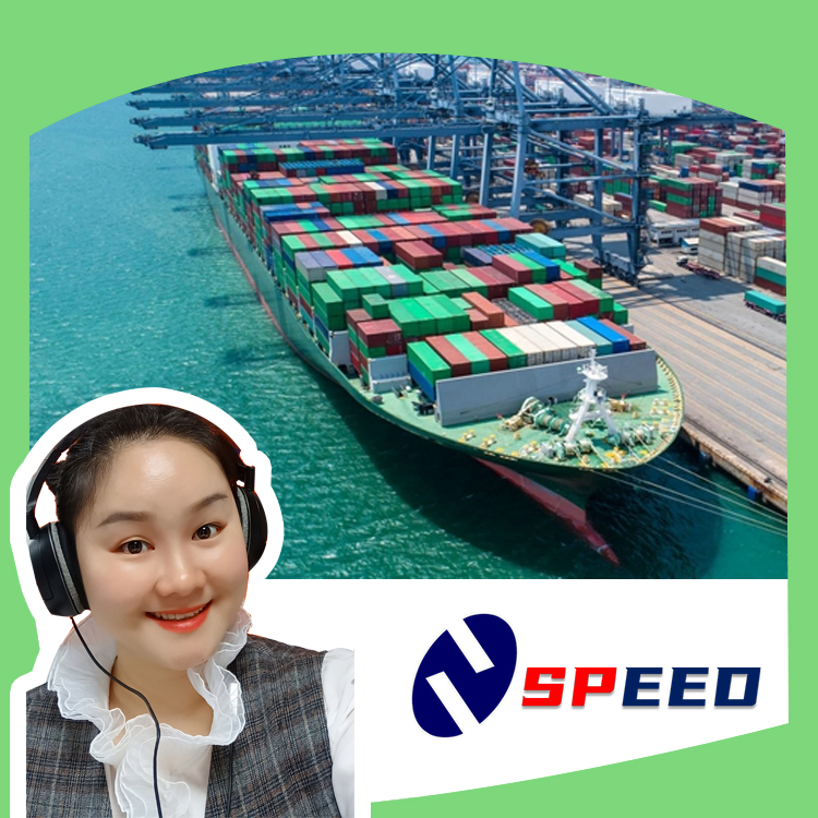 Freight Shipping Agent Sea Freight China to USA Canada Mexico
