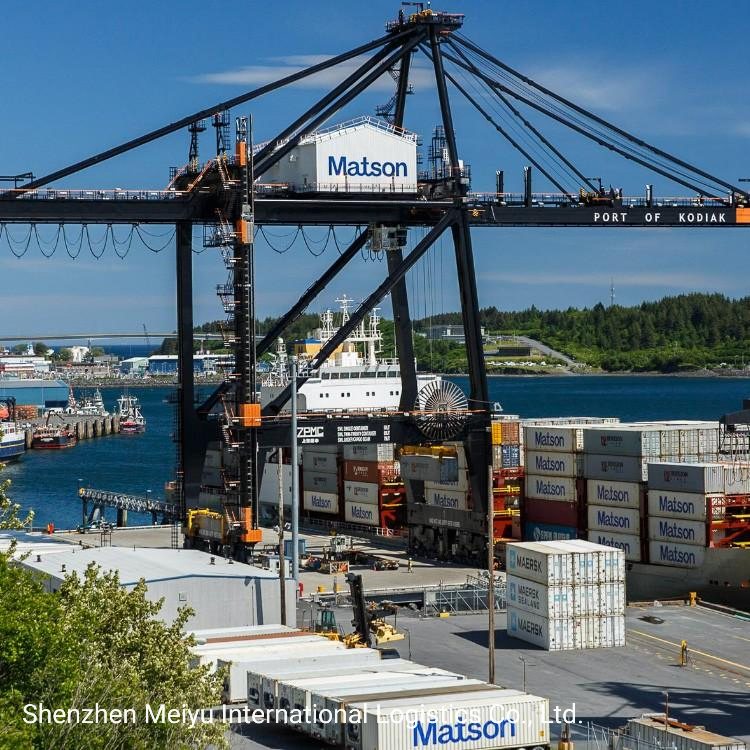 Maston Fast Ship DDP Sea Shipping UPS/FedEx Delivery Services to The USA