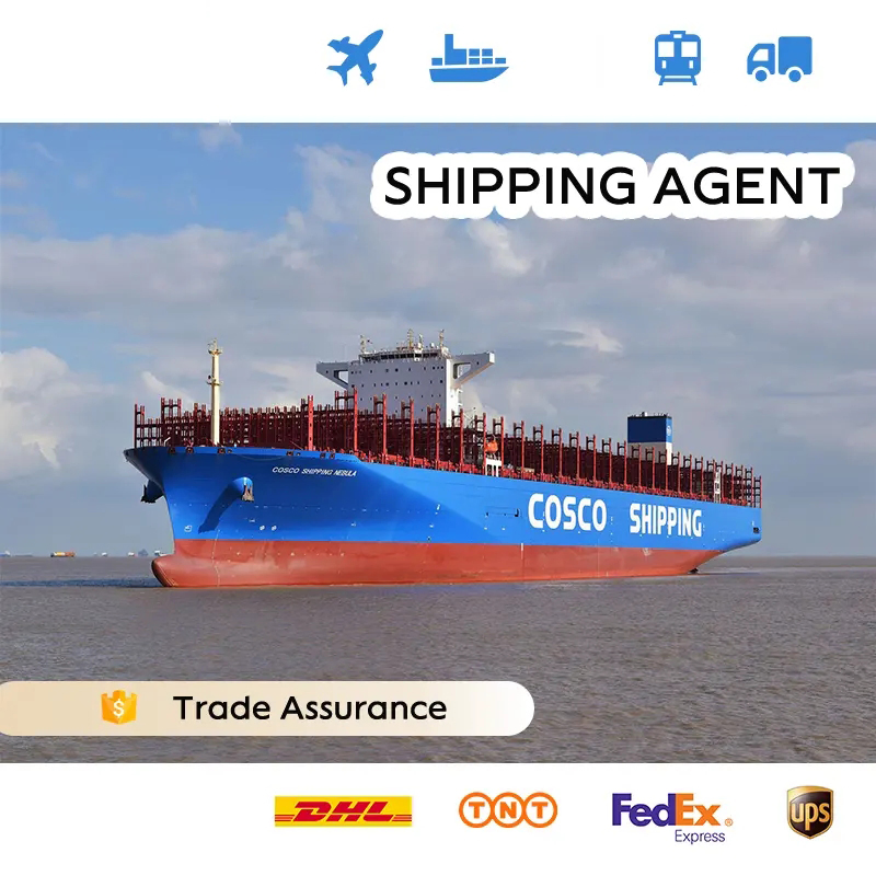 Fast Transit Time Sea Shipping DDP Door to Door Delivery to France Warehouse Freight Service From China