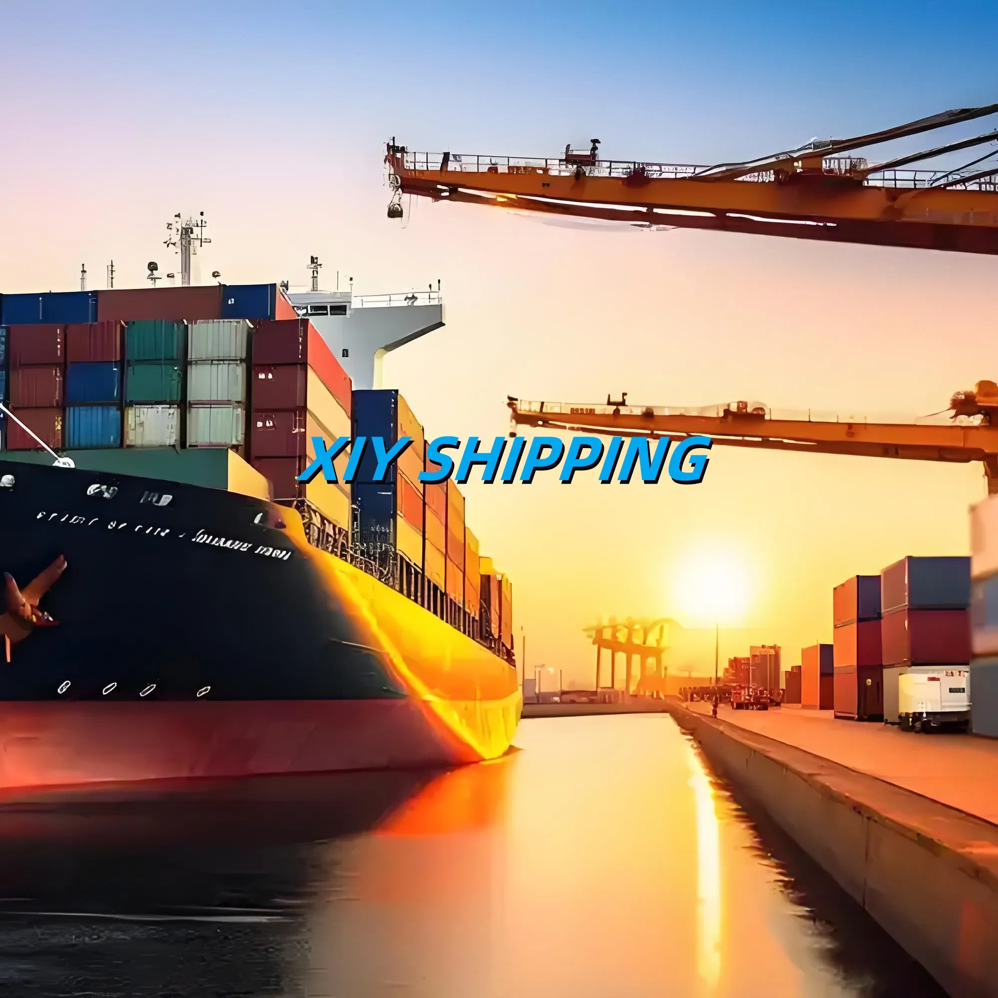 DDU DDP Sea Shipping Service From Shenzhen Guangzhou to Mexico City
