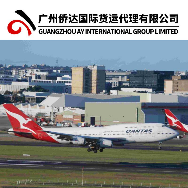 Fast DHL International Express to Fiji DDP DDU From China Sea/Ocean Freight to Fiji Shipping (Suva)