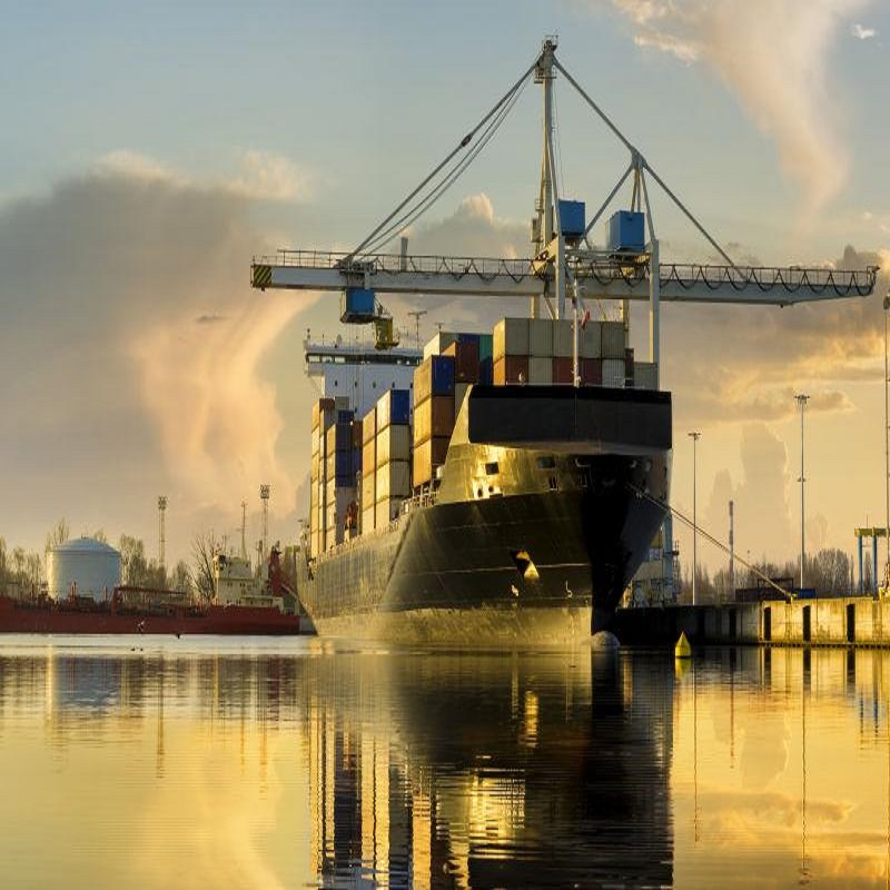 China Consolidated Sea Shipping Gold Supplier Sea Logistics to USA Fba Warehouse