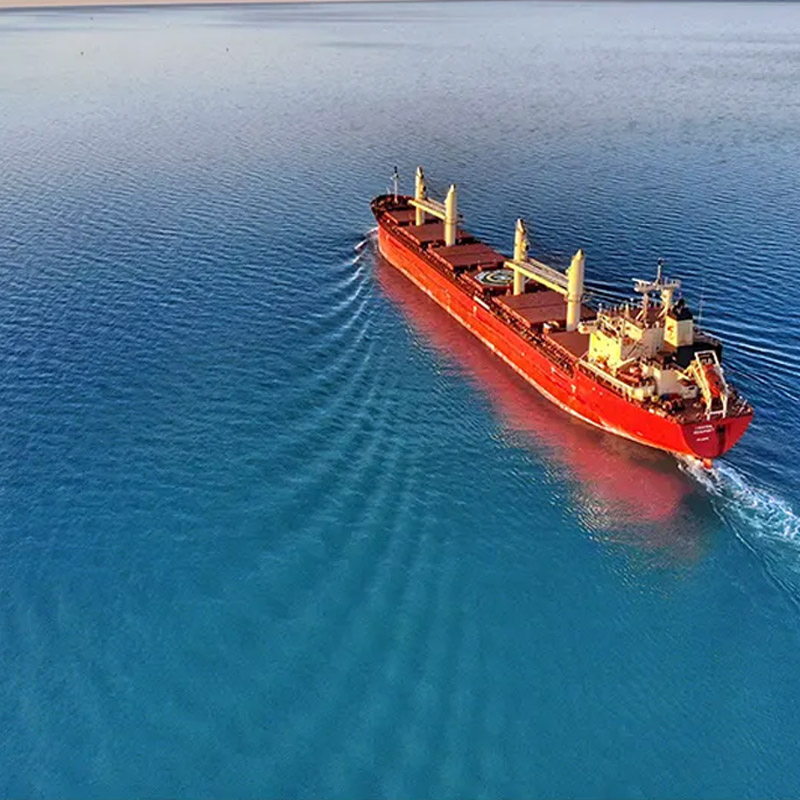 Top International Wholesale Logistic Freight Forwarder to USA DDP Order Dropshipping Forwarding Service