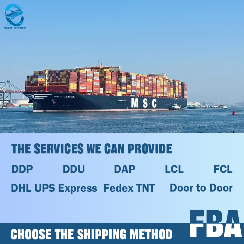 Best Customs Clearance Service Sea Shipping From China to Worldwide