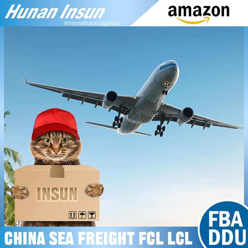 Integrated Freight Handling Reliable DDP Air Freight Providing Fba Labeling and Customs Clearance Services to The United States