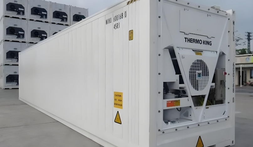 Reefer Container Shipping From Shantou to Mexico Temperature-Controlled Cargo