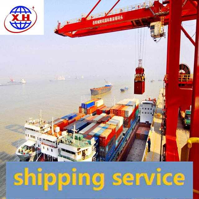 Sea Shipping Agent 20gp 40hq From China To USA Canada DDP DDU Services Professional Express Door To Door