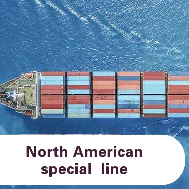 Logistics Services Forwarder China to USA/Canada Sea Freight to Mexico