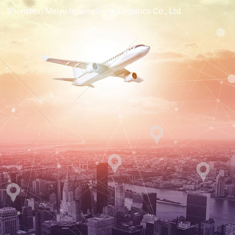 Top 10 Best Air Freight From Shenzhen International Logistics China to USA UK Canada Fba Amazon