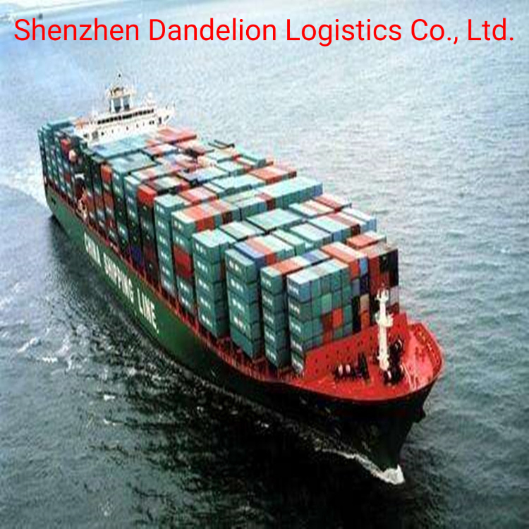 Shenzhen International Container Sea/Air/Rail/Railway/Road Freight Cargo From China to Maldives, Malaysia, Taiwan