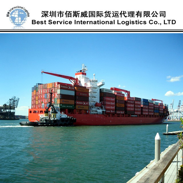 Sea Freight/Freight Forwarder/Logistic Service/Shipping Agent China to Australia, New Zealand, Canada, United States, Europe DDP DDU Service