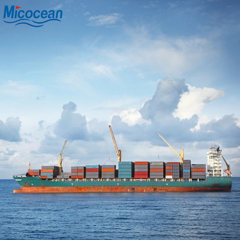 Dangerous Goods Battery Shipping Container Sea Freight From China to All Over The World