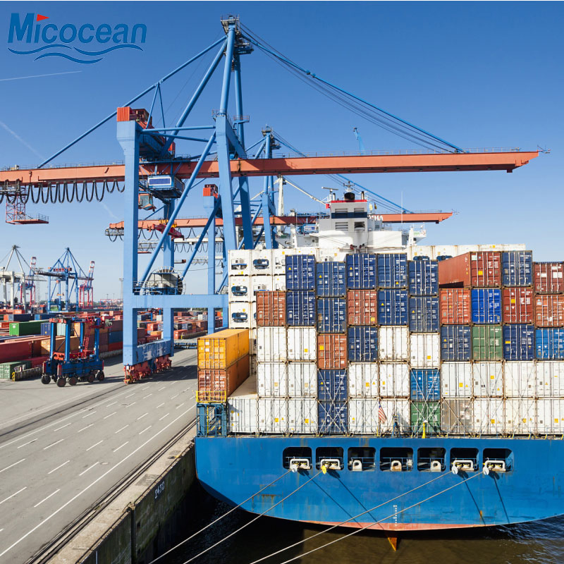 China Safety and Fast Shipping Dangerous Goods DDP Battery Sea Freight From China to Gdynia, Poland