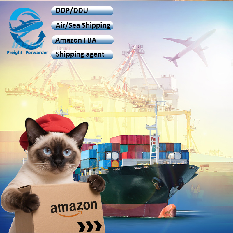 Sea Shipping LCL Integrated DDP Free Fba Label Door to Door Logistics to France