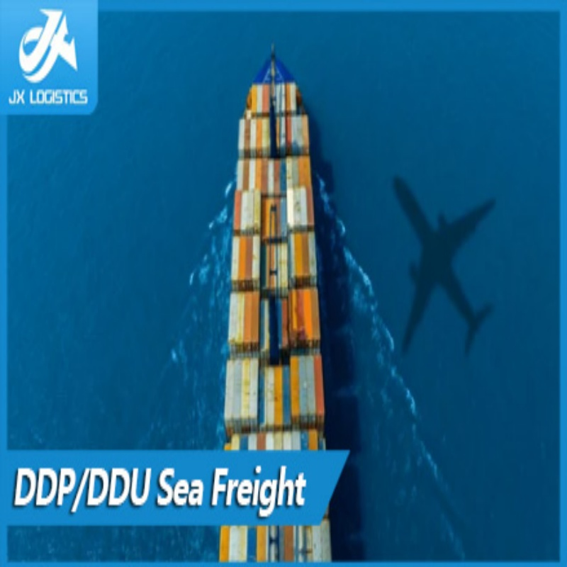 China Freight Forwarder Sea Freight Shipping Charges From China to USA/Canada/Mexico