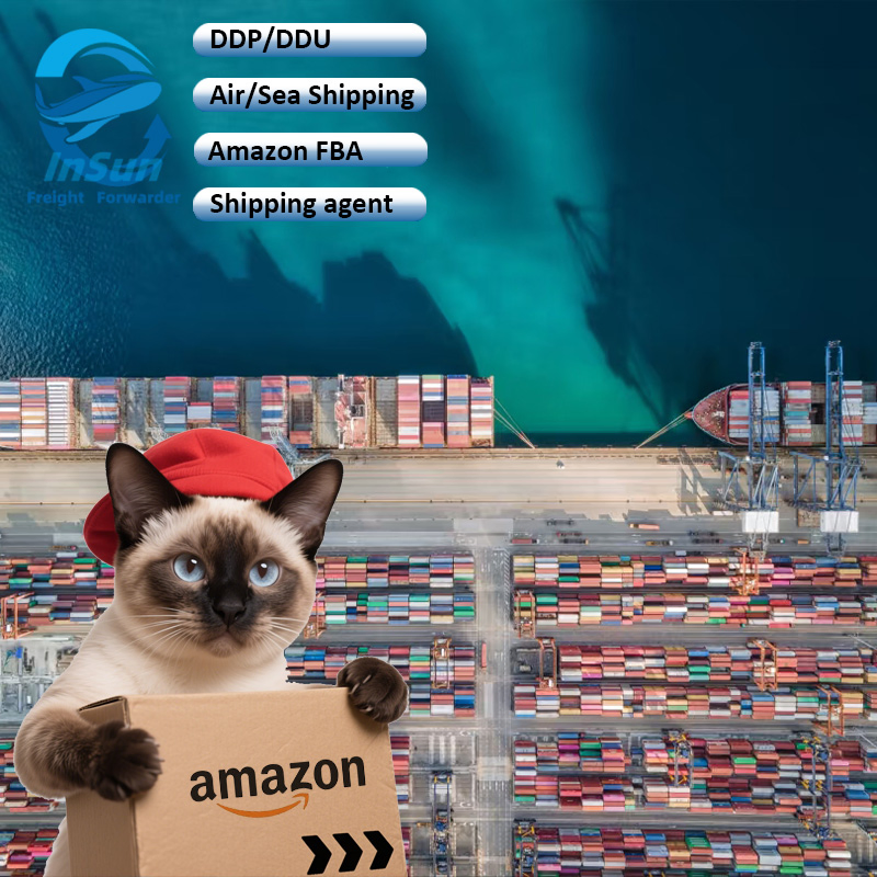 Best Customs Clearance Service Sea Shipping From China to Worldwide